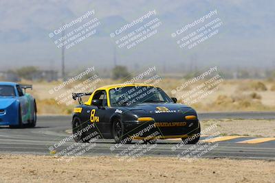 media/Mar-30-2025-Pro Autosports (Sun) [[34ff8f16e0]]/2-Blue-White Group/Main Race/
